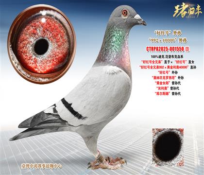 �Ͽ�.���ǲ��ˡ��üt̖(h��o)ȫ�ֵܡ�ֱ�ӡ����üt̖(h��o)��ֱŮ