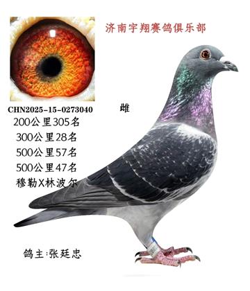 500����47��