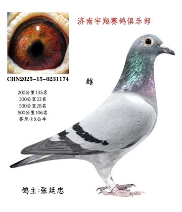 500����28����106��