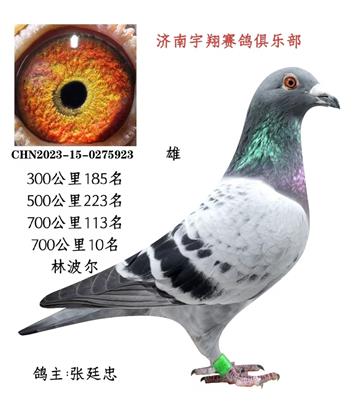 ����700����10����113��