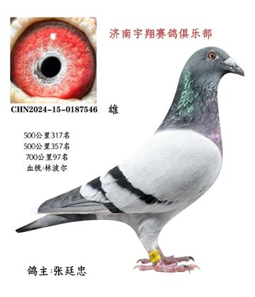 700����97��