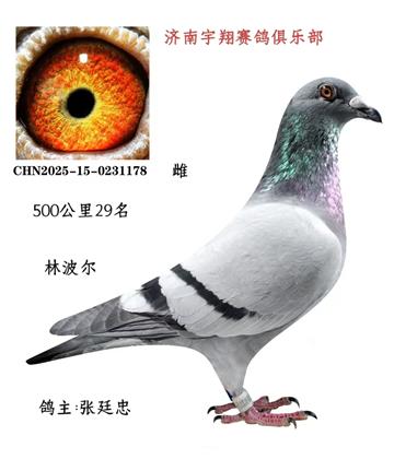 500����29��