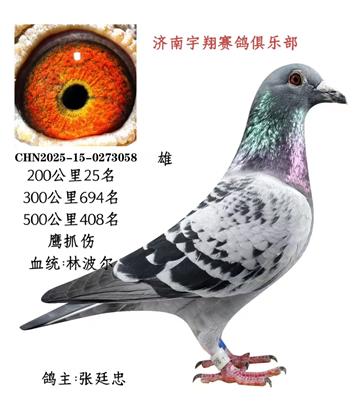 200����25��