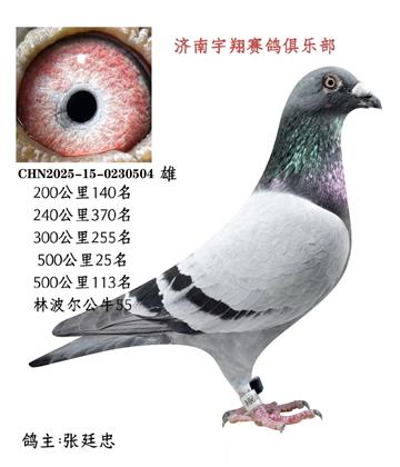 500����25��