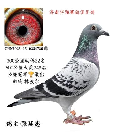 ����22�������܊����