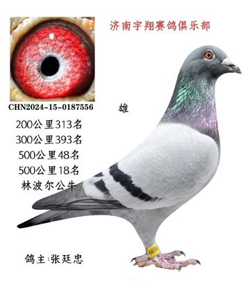 500����48��18��