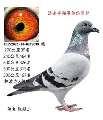 200����39��