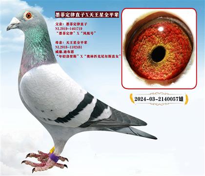 ����.�ϲ�����ī�ƶ��ɡ�ֱ��X(ju��)�������ǡ�ȫ����