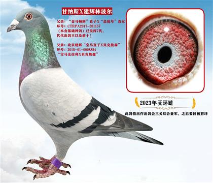 ����˹�����R�D˹��X���y(t��ng)̖(h��o)X�������x�ֲ���