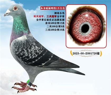 ���P(gu��n)��܊ȫƽ݅������X�����˹������X�ֲ���