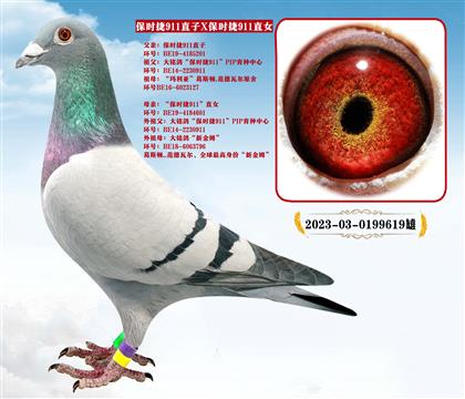 ���r(sh��)��911ֱ��X(ju��)���r(sh��)��911ֱŮ