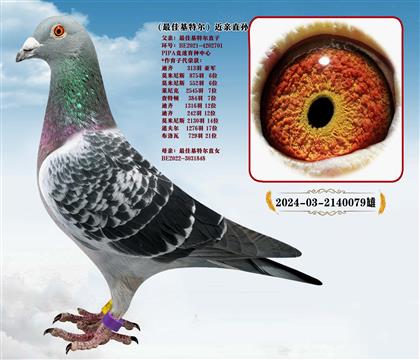 ���c(di��n)���]����ѻ��ؠ�ֱ��X(ju��)��ѻ��ؠ�ֱŮ