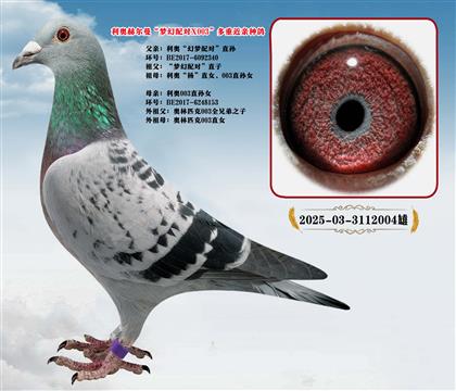 ���W��(m��ng)���䌦(du��)ֱ�OX���W003��O