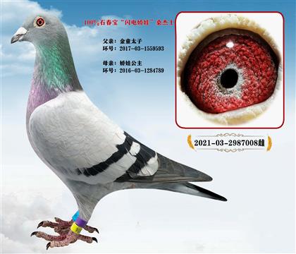 ʯ����ɣ��ʿ���W늋���X�������ӡ����H