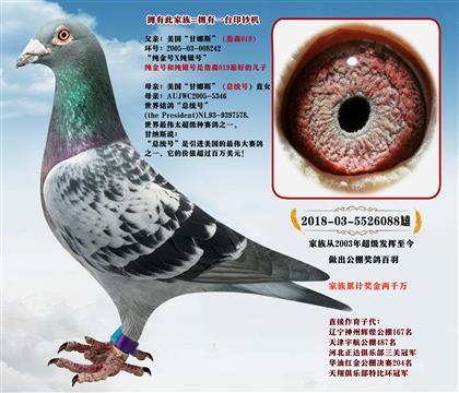 �^�桢����(gu��)����˹ղɭ019X�����y(t��ng)̖(h��o)��ֱŮ