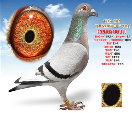 �Ͽ�.���ǲ��ˡ����ؠ�006���H�ֵܡ������ؠ�006��ֱŮ