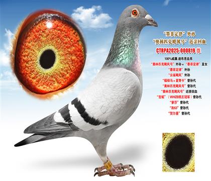 ����.�ϲ������W��ƥ���Z�L(f��ng)̖(h��o)����O����ī�ƶ��ɡ�ֱŮ