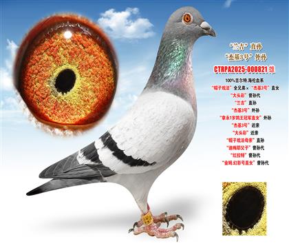 ������.������ñ�ӑ򷨡�ȫ�ֵܡ����ܻ�3̖(h��o)��ֱŮ