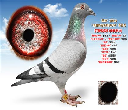 �Ͽ�.���ǲ��ˡ����ؠ�006���H�ֵܡ������ؠ�006��ֱŮ