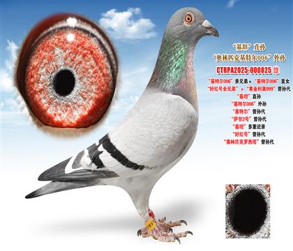 �Ͽ�.���ǲ��ˡ����ؠ�006���H�ֵܡ������ؠ�006��ֱŮ