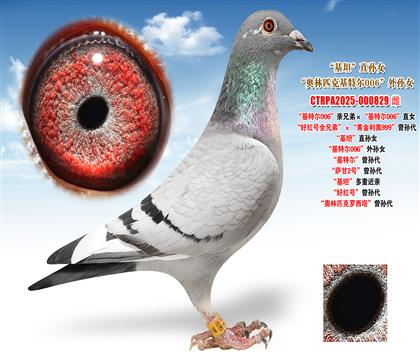 �Ͽ�.���ǲ��ˡ����ؠ�006���H�ֵܡ������ؠ�006��ֱŮ