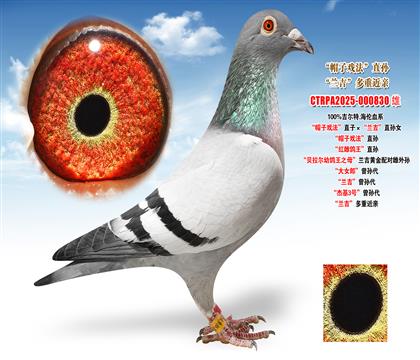 ������.������ñ�ӑ򷨡�ֱ�ӡ����m����ֱ�OŮ