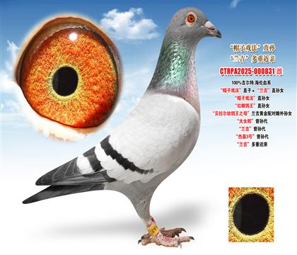 ������.������ñ�ӑ򷨡�ֱ�ӡ����m����ֱ�OŮ