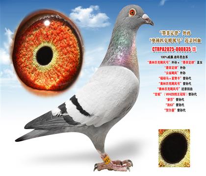 ����.�ϲ������W��ƥ���Z�L(f��ng)̖(h��o)����O����ī�ƶ��ɡ�ֱŮ