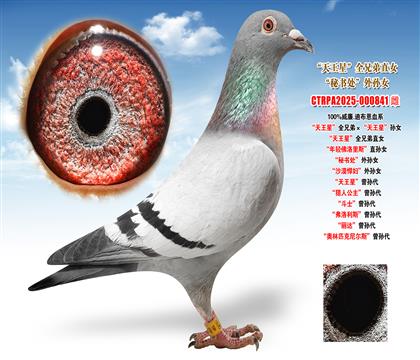 ����.�ϲ����������ǡ�ȫ�ֵܡ��������ǡ��OŮ