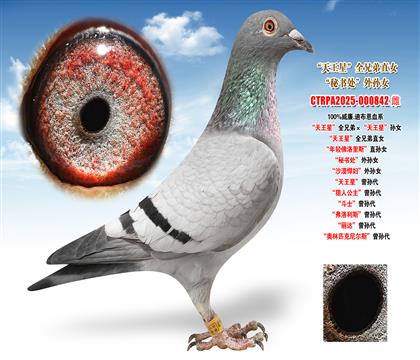 ����.�ϲ����������ǡ�ȫ�ֵܡ��������ǡ��OŮ