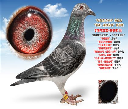 �׵����ֵܡ��û�ֱ��998����OŮ���û� ~�ٶȽ�ĸ�����O��