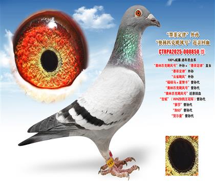 ����.�ϲ������W��ƥ���Z�L(f��ng)̖(h��o)����O����ī�ƶ��ɡ�ֱŮ