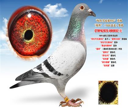 �Ͽ�.���ǲ��ˡ��üt̖(h��o)�ֵ�992��ֱ�ӡ������ؠ�006���H��