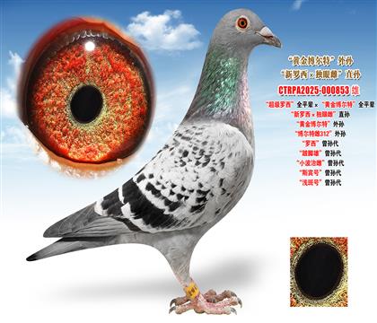 ���W.�R�����������_����ȫƽ݅�����S�𲩠��ء�ȫƽ݅