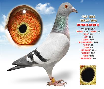 ������.������ñ�ӑ򷨡�ȫ�ֵܡ����ܻ�3̖(h��o)��ֱŮ