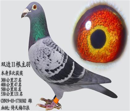 ����÷���� ������Ϋ@��(ji��ng)