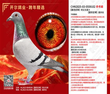 ī�ƶ���ͬ���ֵܡ�ī�ƶ���ֱ��Ů