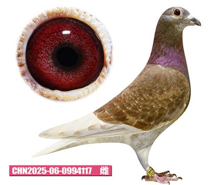 ���ǲ���-�ú�Ů��117