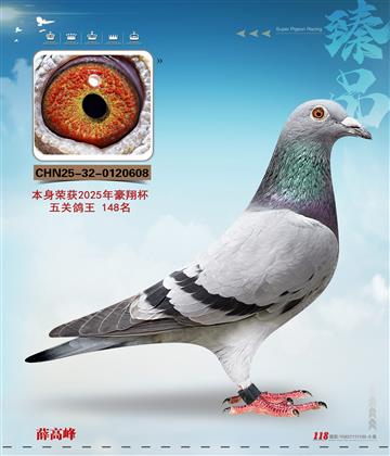 ����148��