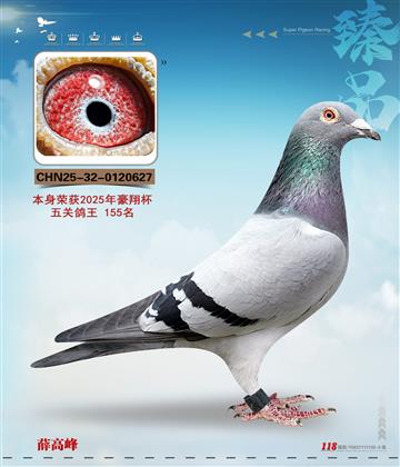 ����155��