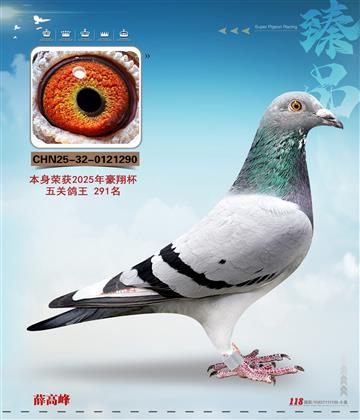 ����291��