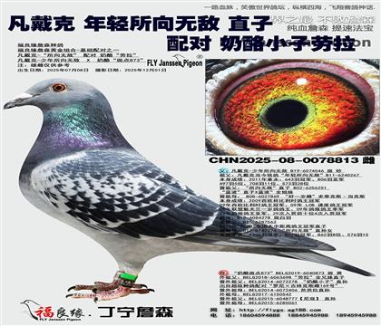 ������ ���������޵� ֱ��Ů