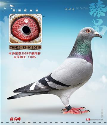 ����118��