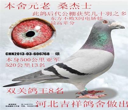 ����Ԫ�ϻ���ǧԪ�ر�˫��8��ɣ��ʿ