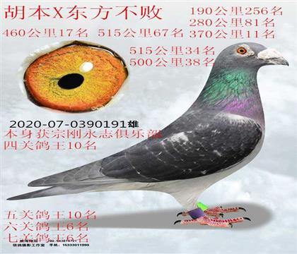 ��Ԫ����7�ظ���6������X��������