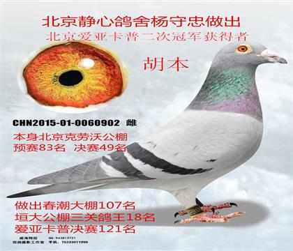 ����������Ԥ��83������49�����ĸ���������