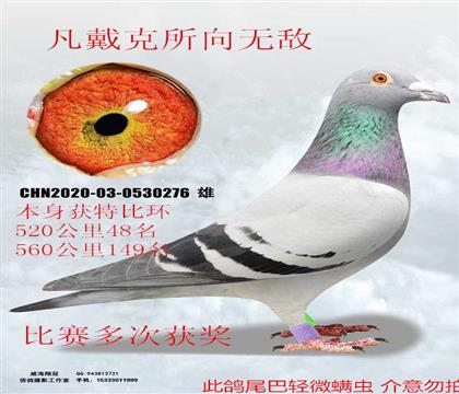 500����48����γɼ������������޵�