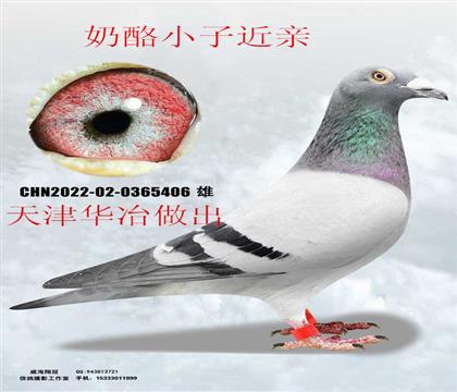 ���ұ��������С�ӽ���