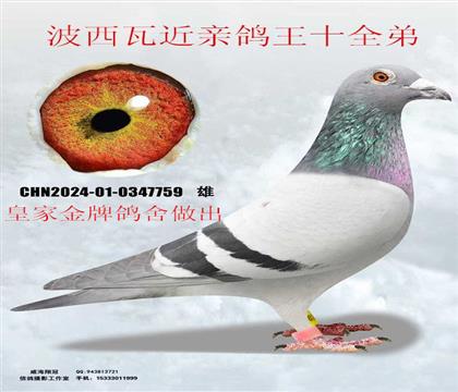 �ʼҽ��Ƹ��������ɸ����