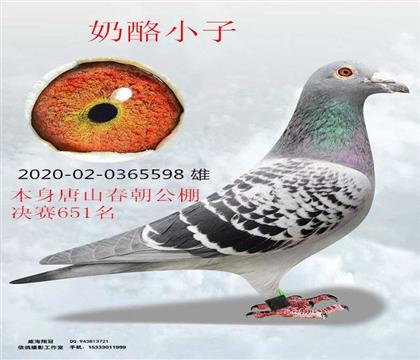 ��ɽ��������651������С��